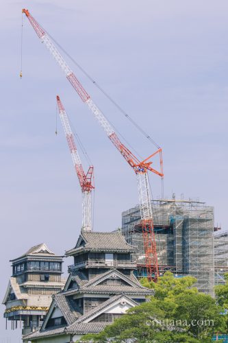 熊本城復興工事339