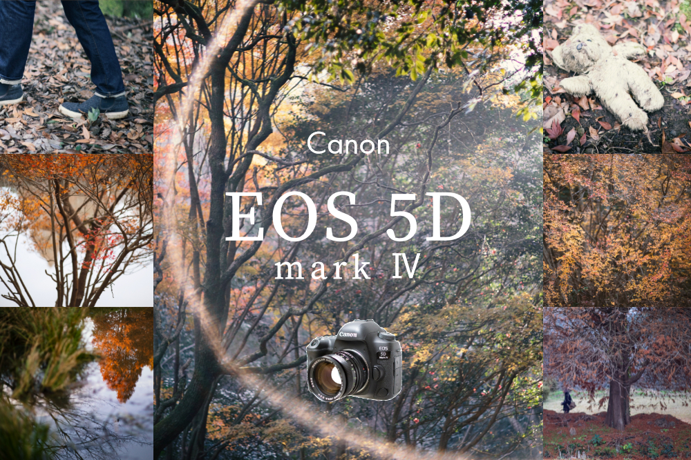 Canon/キヤノンEOS 5D Mark IVは、歴史的完成形。殿堂入りデジタル一眼 