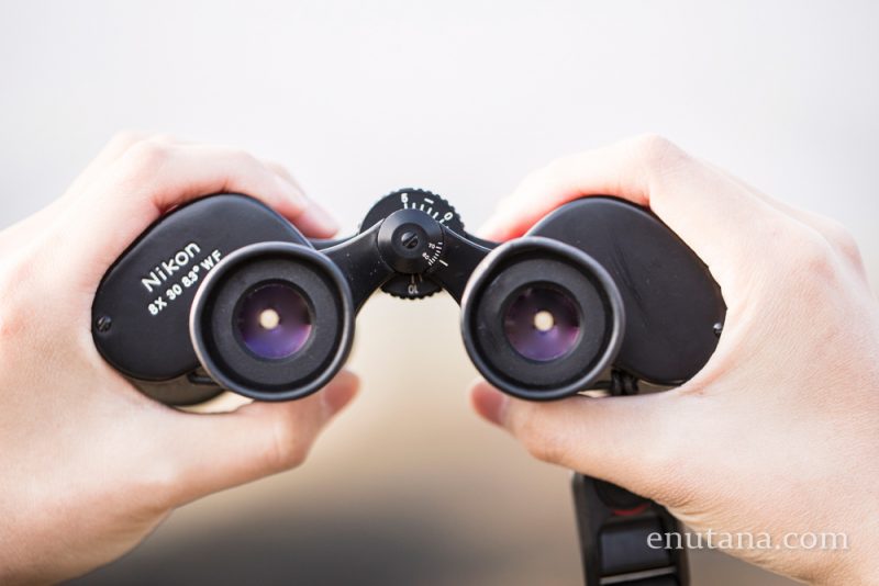 野鳥観察の定番ポロプリズム式、Nikon 8x30E。双眼鏡の選び方。 | ZINE 