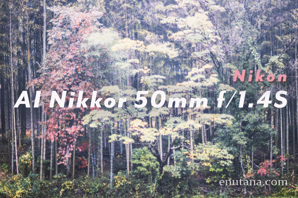 ニコンAI Nikkor 50mm f/1.4Sなるスタンダード。MFオールドレンズ入門 