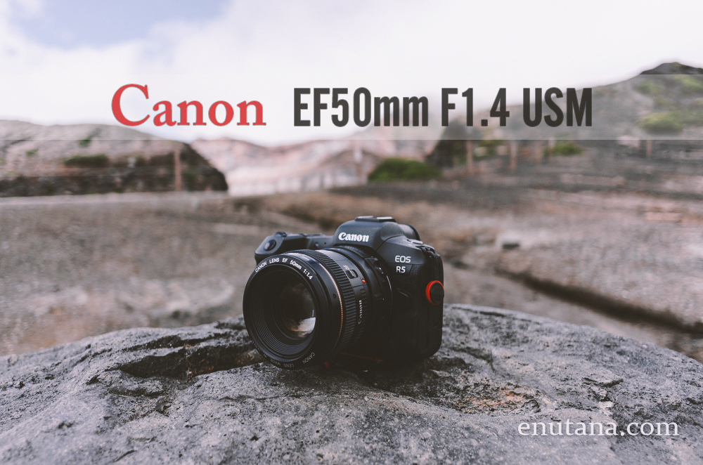 レンズ(単焦点)Canon キヤノン EF50mm F1.4 USM（保護フィルター付